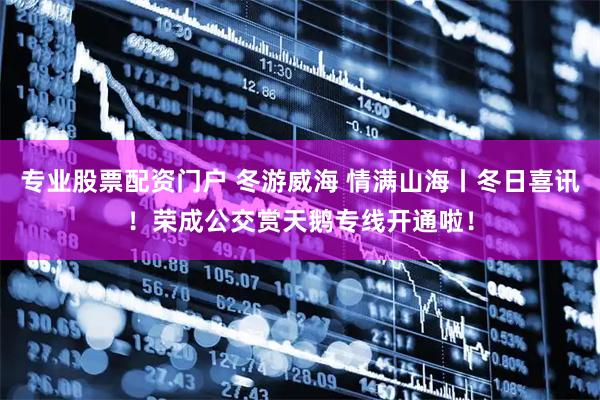 专业股票配资门户 冬游威海 情满山海丨冬日喜讯!荣成公交赏天鹅专线开通啦!